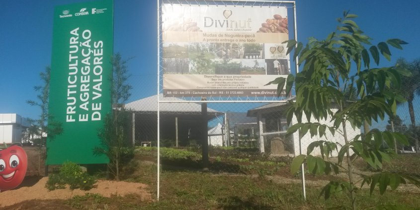 Fotos do plantio de mudas de nogueiras da Divinut no IF SC onde ocorre a Tecnoeste. Estamos aguardando sua visita! Fotos do plantio de mudas de nogueiras da Divinut no IF SC onde ocorre a Tecnoeste. Estamos aguardando sua visita!