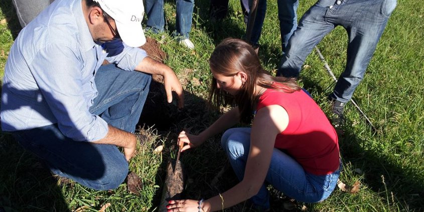 Trocando idéias sobre nogueiras-pecã com a gurizada da Escola Técnica Estadual Canguçu, Canguçu-RS. Teoria e prática. Trocando idéias sobre nogueiras-pecã com a gurizada da Escola Técnica Estadual Canguçu, Canguçu-RS. Teoria e prática.