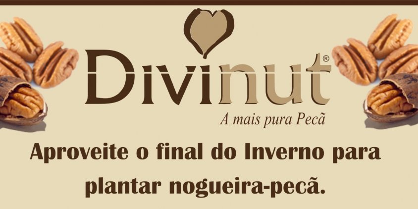 Roteiro Divinut de entrega de Mudas de Nogueira-pecã e compras de Nozes com casca Roteiro Divinut de entrega de Mudas de Nogueira-pecã e compras de Nozes com casca