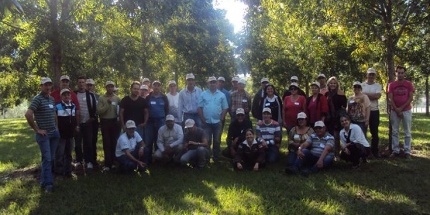 A Divinut ofereceu um curso sobre o cultivo da nogueira-pecã para os produtores de Concórdia/SC. A Divinut ofereceu um curso sobre o cultivo da nogueira-pecã para os produtores de Concórdia/SC.